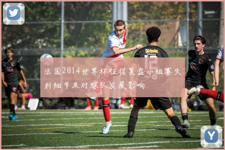 法国2014世界杯征程复盘小组赛失利细节及对球队发展影响