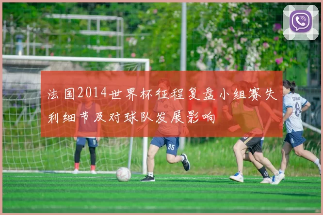 法国2014世界杯征程复盘小组赛失利细节及对球队发展影响