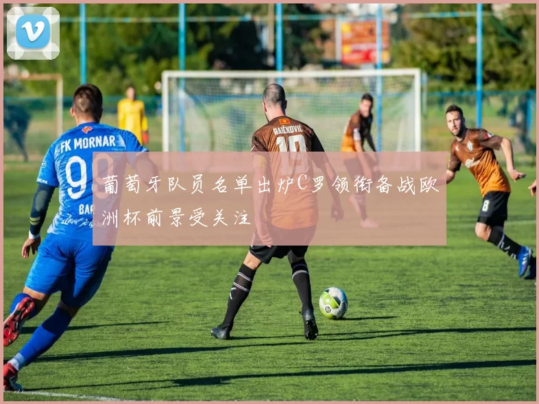 葡萄牙队员名单出炉C罗领衔备战欧洲杯前景受关注