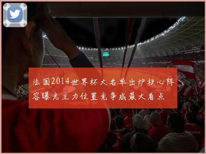 法国2014世界杯大名单出炉核心阵容曝光主力位置竞争成最大看点