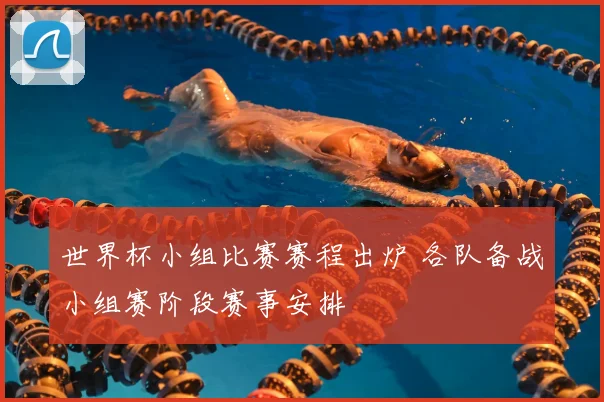 世界杯小组比赛赛程出炉 各队备战小组赛阶段赛事安排