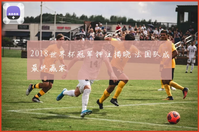 2018世界杯冠军押注揭晓 法国队成最终赢家