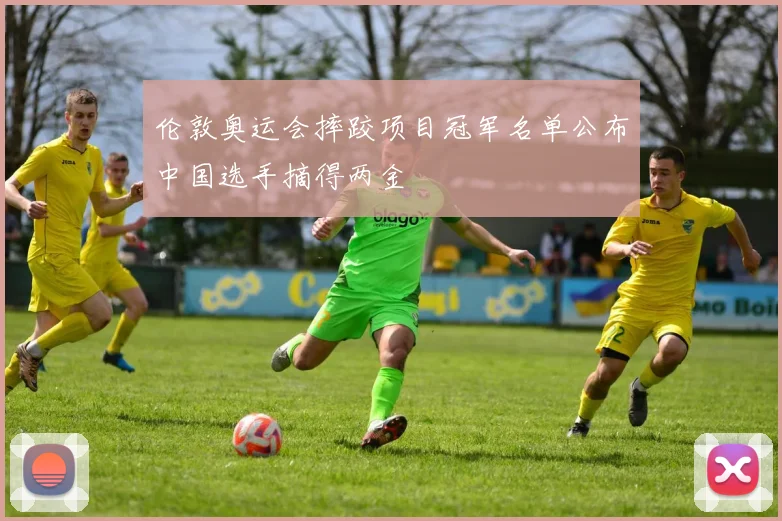伦敦奥运会摔跤项目冠军名单公布中国选手摘得两金