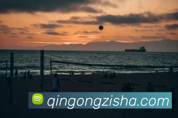 金年汇信誉至上(中国)有限公司 - 官网平台生态图