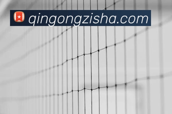 金年汇信誉至上(中国)有限公司 - 官网APP 封面图